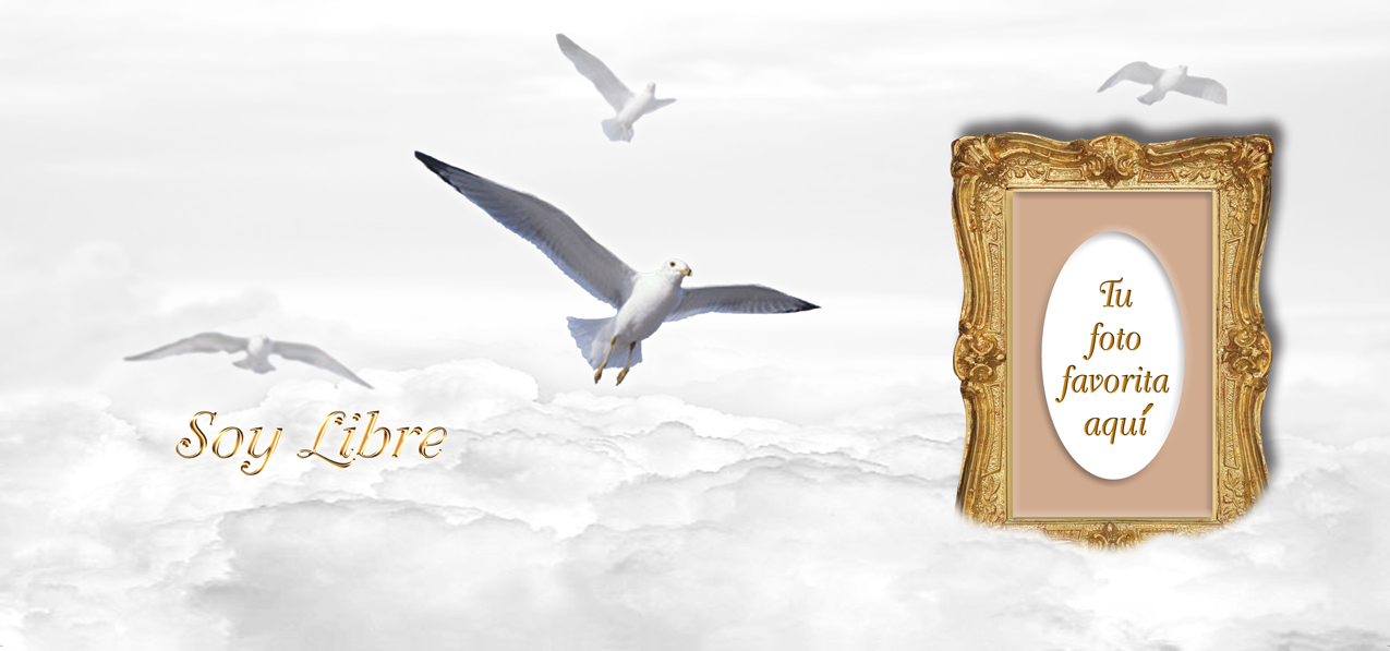 Soy Libre White Clouds